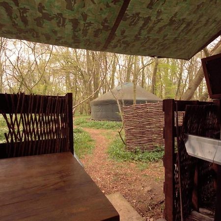 Magical Forest Yurt Sturry エクステリア 写真
