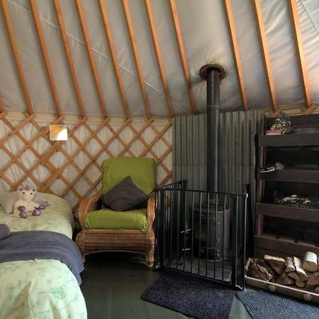 Magical Forest Yurt Sturry エクステリア 写真